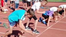 Валуйчане приняли участие в первенстве Белгородской области по лёгкой атлетике в Старом Осколе