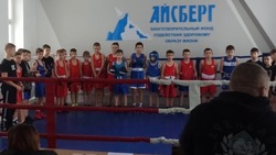 Юные валуйчане стали победителями соревнований по боксу  «Открытый ринг»  в Бирюче