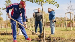 Компания Белгородэнерго организовала экологическую акцию в Белгородской области