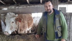 Валуйчанин из Белгородской области заключил соцконтракт на ведение личного подсобного хозяйства