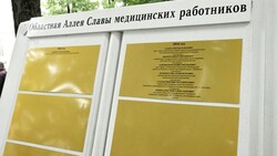 Имена лучших представителей здравоохранения региона появятся на Белгородской Аллее Славы