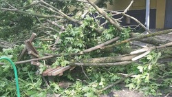 Вячеслав Гладков рассказал о повреждении крыши ДК в Тимоново Валуйского округа из-за урагана 