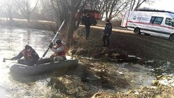 Специалисты МЧС спасли лебедя в Белгородском районе