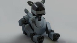 Собака-робот поможет строителям из «Сколково»