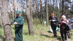 Участники областного семинара обсудили работу школьных лесничеств