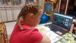 Белгородские власти приняли решение завершить учебный год в приграничных школах региона досрочно