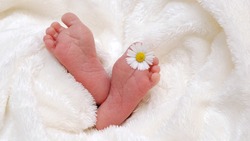 Пять новорождённых появились на свет от ковид-положительных матерей в Белгородской области