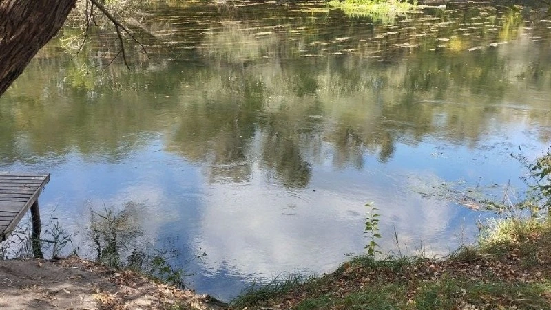 Происшествие на воде случилось в Старой Симоновке Валуйского округа Белгородской области