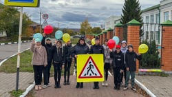 Сотрудники валуйской Госавтоинспекции Белгородской области  организовали профилактическую акцию