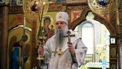 Епископ Валуйский и Алексеевский поздравил  прихожан с Рождеством
