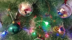 Компания Белгородэнерго напомнила о правилах электробезопасности в новогодние праздники
