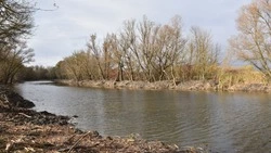 Губернатор Вячеслав Гладков рассказал о завершении очистки водоёмов в рамках проекта «Наши реки»