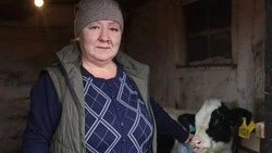 Социальный контракт помог Наталье Ериной из Валуйского округа построить своё дело  