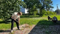 Работа студенческих отрядов завершилась в Валуйском округе Белгородской области
