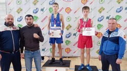 Валуйчане стали призёрами первенства Белгородской области по боксу в Старом Осколе