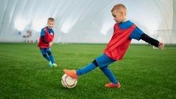 Белгородские дети смогут посещать спортивные секции за счёт государства 