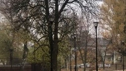 Вячеслав Гладков поручил проинспектировать противоклещевую обработку в Белгородской области