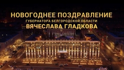 Губернатор Белгородской области поздравил жителей региона с Новым годом