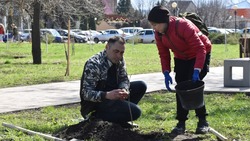 Экологическая акция по озеленению городского пространства прошла в Валуйках
