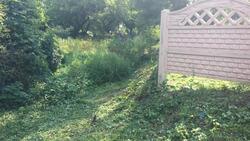 Валуйские власти дали ответ местному жителю об инциденте на кладбище
