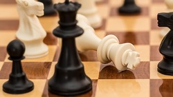 Блиц-турнир по шахматам на кубок Победы прошёл в горокруге