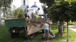 Власти Белгородской области организуют 10 тысяч рабочих мест для подростков в регионе