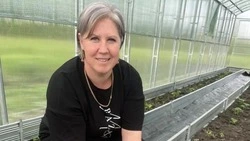 Валуйчанка из Белгородской области занялась выращиванием овощей благодаря соцконтракту