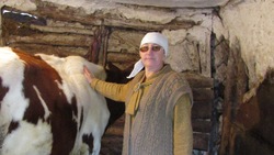 Екатерина Галыгина из Валуйского горокруга приобрела корову по социальному контракту