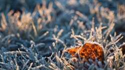 Снег и резкое похолодание придут на территорию Белгородской области