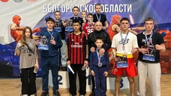 Валуйские спортсмены стали победителями турнира по ушу-саньда «Молодой лев»  в Старом Осколе