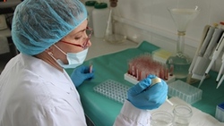 Межрайонная ветеринарная лаборатория в Валуйках вышла на новый уровень