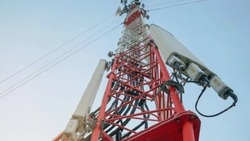 Работники установили 115 вышек сотовой связи в Белгородской области с 2019 года 