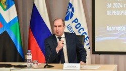 Компания Белгородэнерго подвела итоги работы электросетевого комплекса региона за 2024 год