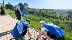 Волонтёры Победы Валуйского муниципального округа провели субботник Памяти