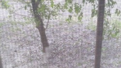 Сильный ливень с градом обрушился на Белгород сегодня
