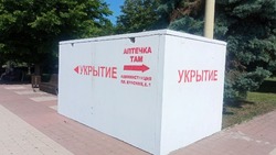 Экология совести. Зачем укрытие превращать в туалет?