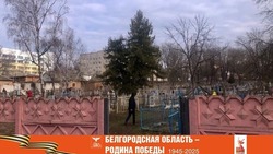 Валуйская администрация провела мероприятия по наведению порядка на всех девяти городских кладбищах
