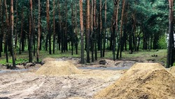  Работы по благоустройству парка «Сосновый» стартовали в Валуйском городском округе