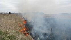 Белгородцы нанесли ущерб окружающей среде на 22 млн рублей ландшафтными пожарами