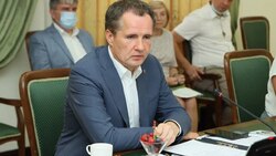 Вячеслав Гладков встретился с представителями общественных организаций