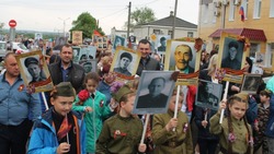 Власти региона пригласили жителей встать в строй «Бессмертного полка» в областном центре 9 мая