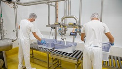 Компания Белгородэнерго обеспечила допмощностью завод по производству сыров в посёлке Прохоровка