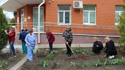 Экологический месячник продолжился в Валуйском горокруге Белгородской области