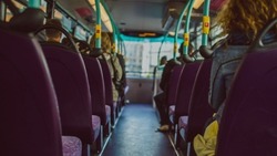 Власти Белгородской области запустят автобусное сообщение между Шебекино и Волоконовкой