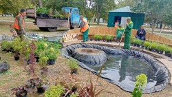 Работники ЖКХ создадут ландшафтную композицию сада белгородского фестиваля в Валуйках