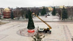 Работы по установке новогодней ёлки стартовали на площади Красной в белгородских Валуйках