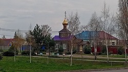 Губернатор Вячеслав Гладков поздравил жителей Белгородской области с Вербным Воскресеньем