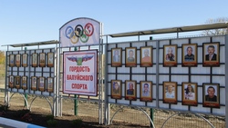 Общественники открыли аллею спортсменов в Валуйках