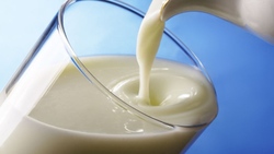 Белгородская область стала лидером страны по темпам прироста производства молока