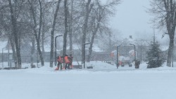 Вячеслав Гладков заявил о необходимости увеличить число коммунальной техники во время снегопадов